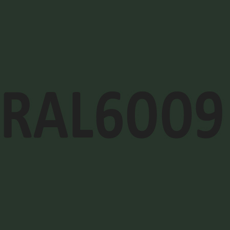 RAL 6009 farba nariedená, lakovateľná, 1 liter