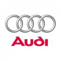 Audi nemetalická farba nariedená, pripravená na striekanie 1000 ml